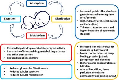 The Blind Spot of Pharmacology: A Scoping Review of Drug Metabolism in Prematurely Born Children